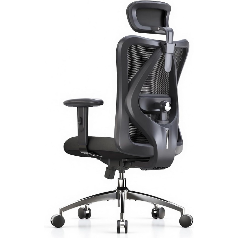 Home Office Ergonomics - Ergonomic Mesh Desk Chair with Adjustable