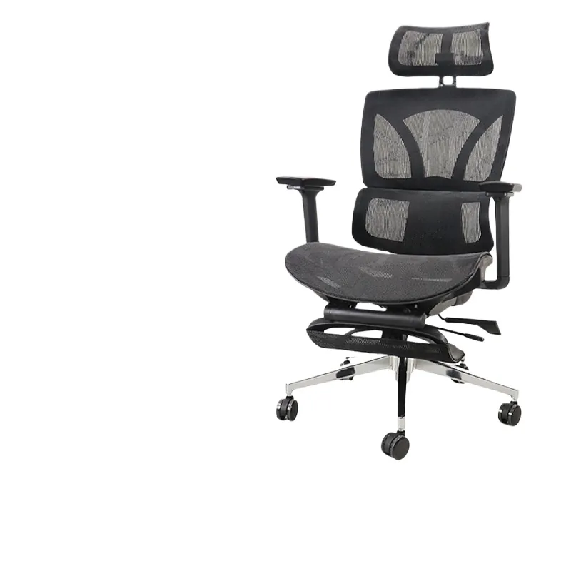 Home Office Ergonomics - Ergonomic Office Chair for Ruijing Xi