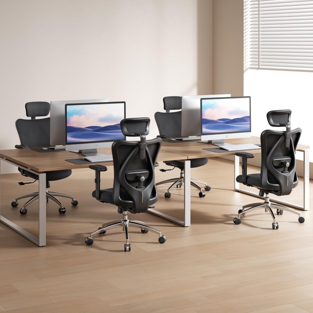 Ergonomic Mesh Desk Chair with - đánh giá và giá Home Office Ergonomics