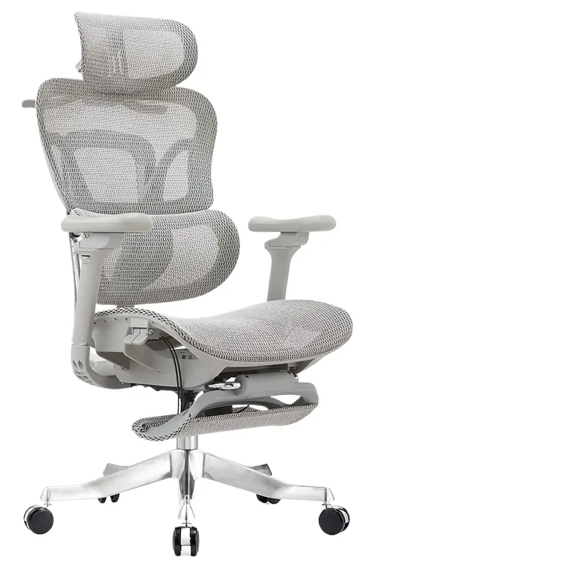 Ergonomic Office Chair for Com - đánh giá và giá Home Office Ergonomics