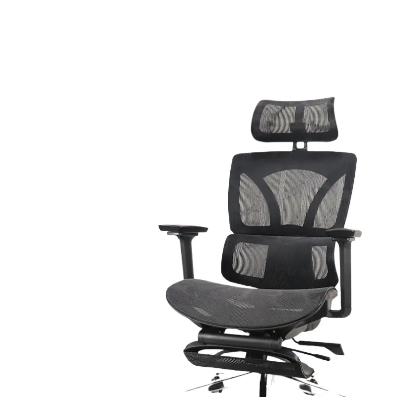 Ergonomic Office Chair for Rui - đánh giá và giá Home Office Ergonomics