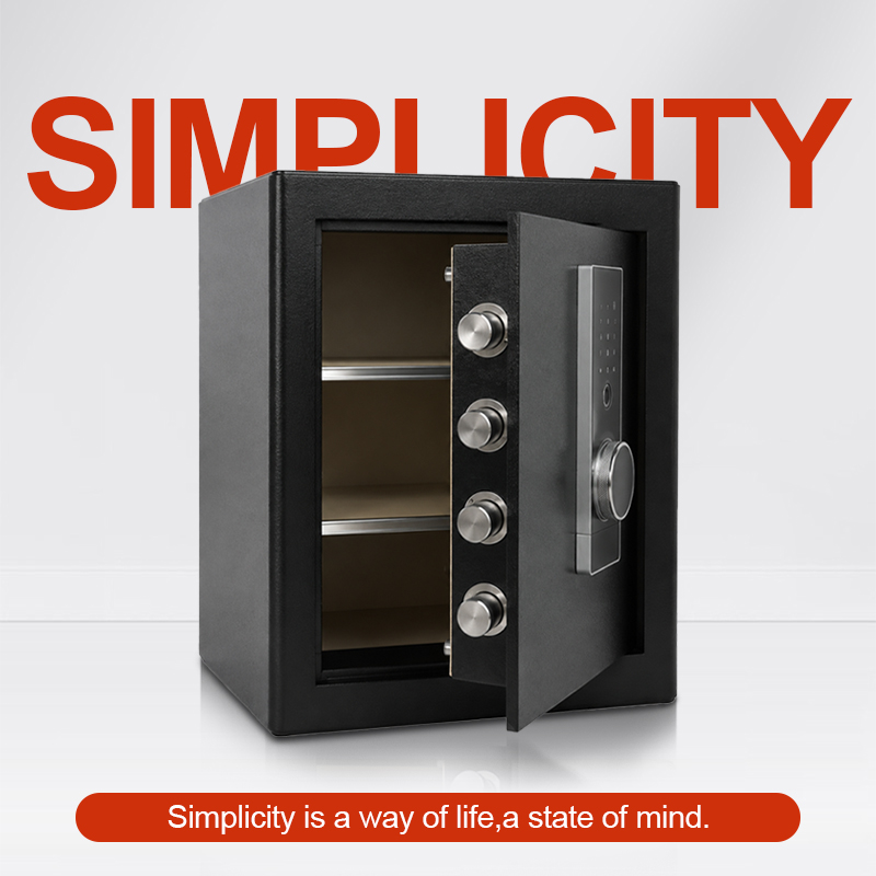 Biometric Fingerprint Safe Box - đánh giá và giá Home Office Passport