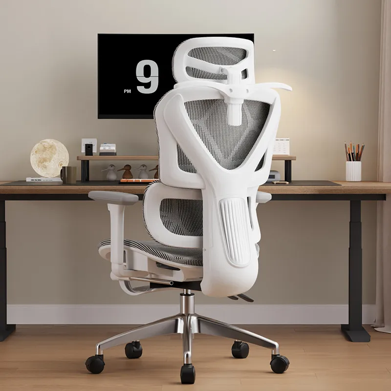 Ergonomic Computer Chair E-spo - đánh giá và giá Home Office Ergonomics