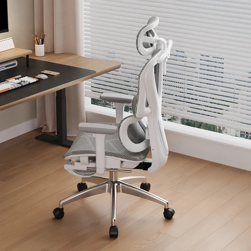 Ergonomic Computer Chair E-spo - đánh giá và giá Home Office Ergonomics