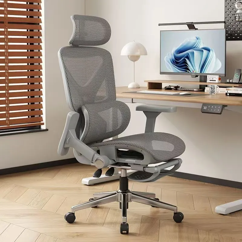 Ergonomic Office Chair with Lu - đánh giá và giá Home Office Ergonomics