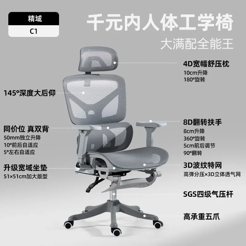 Ergonomic Office Chair with Lu - đánh giá và giá Home Office Ergonomics