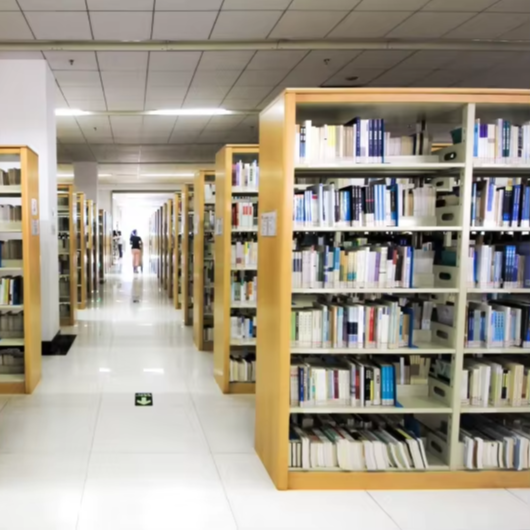 Factory Direct Double-Sided Bo - đánh giá và giá Home Office Library