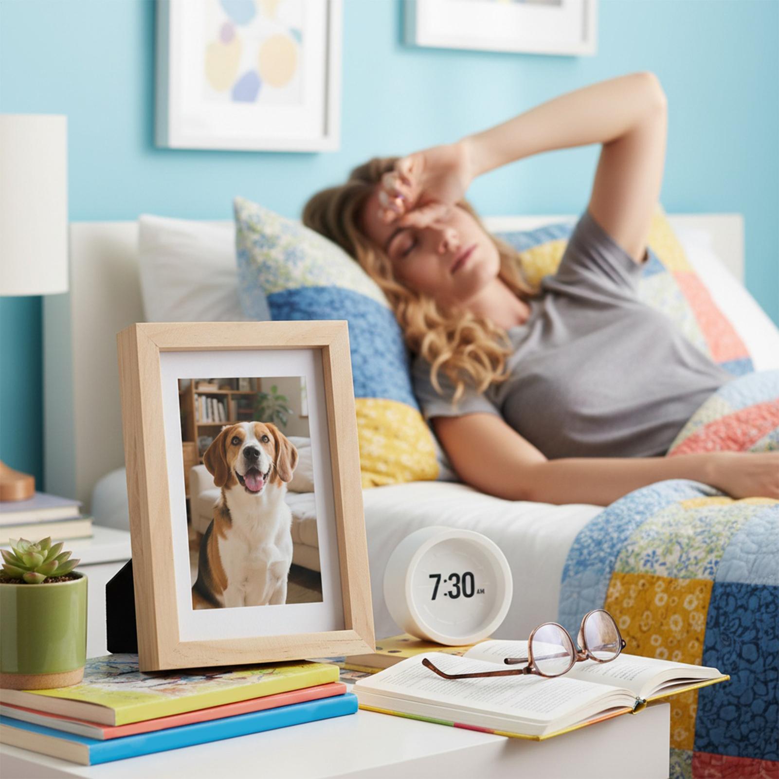 Safe Stash Frame Discreet Stor - đánh giá và giá Home Office Passport