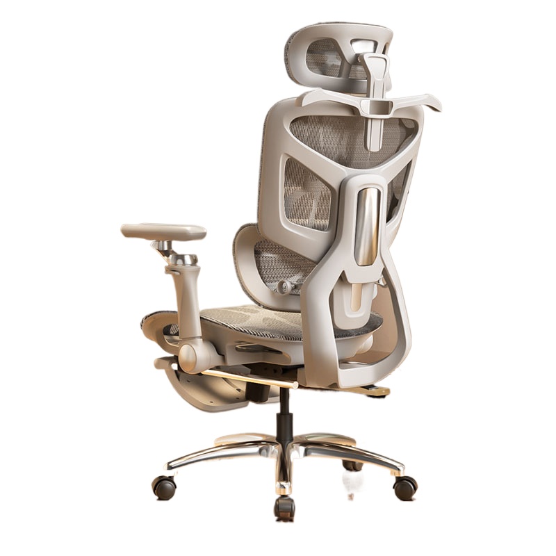 Ergonomic Office Chair for Com - đánh giá và giá Home Office Ergonomics