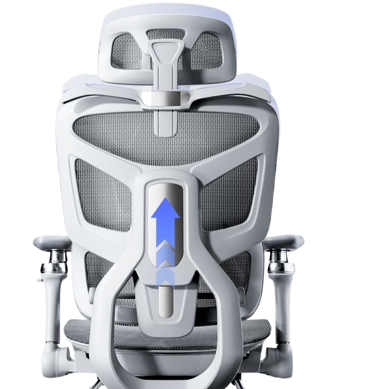 Ergonomic Office Chair for Com - đánh giá và giá Home Office Ergonomics